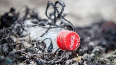 Photo of Coca-Cola ndotësja më e madhe e plastikës në botë