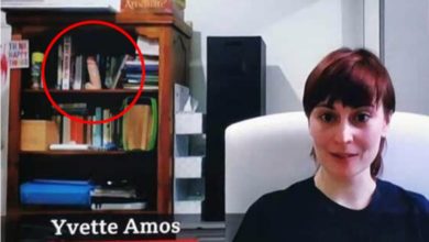 Photo of E ftuara në BBC merr vëmendjen me penisin plastik në raft të librave (Video)