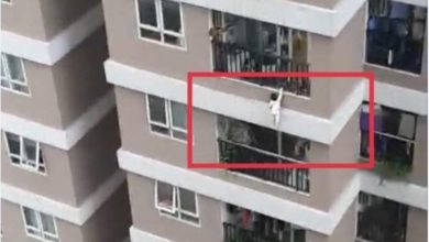 Photo of Vajza 3 vjeçe bie nga ballkoni i katit 12-të… e shpëton shoferi i kamionit/ Videoja që do ju mbajë frymën