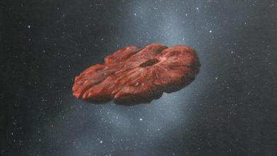 Photo of U tha se ishte anije e alianëve, por sekreti i Oumuamua mund të mësohet shumë shpejtë