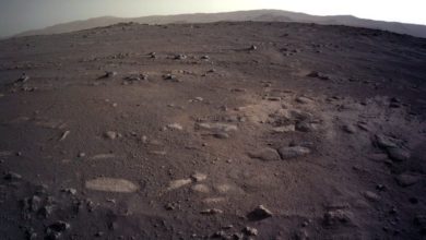 Photo of Imazhe mahnitëse nga Marsi/ “Rover Perseverance” dërgon pamje të tjera