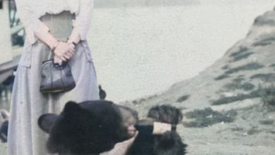 Photo of Gjuetarë kafshësh, fëmijë që luajnë dhe ari që pi verë, jeta nëpërmes pamjeve në Alaskën e viteve 1990