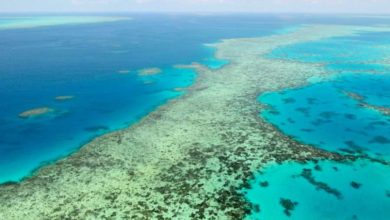 Photo of UNESCO rekomandon që “Great Barrier Reef” të futet në listën e trashëgimisë së rrezikuar