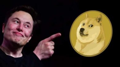Photo of Pse Dogecoin është kriptomonedha më e preferuar e Elon Musk?