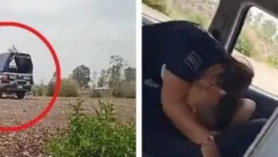 Photo of Skandali në Meksikë/ Video. Dy policët meksikanë, kapen duke bërë se*s gjatë orarit të punës