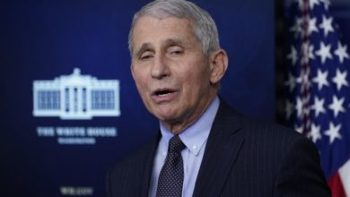 Photo of Eksperti amerikan Fauci: Koronavirusi mund të mos zhduket kurrë