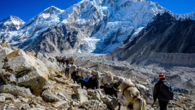 Photo of Lonely Planet zbulon destinacionet më të mira për vitin 2022 – mesin e tyre edhe Sllovenia