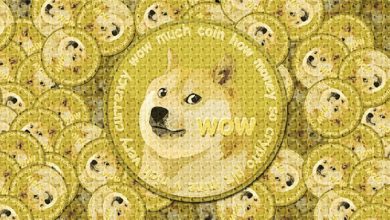 Photo of Çmimi i monedhës Shiba Inu arriti një rekord të ri