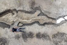 Photo of Zbulohet fosili i jashtëzakonshëm 180 milionë-vjeçar