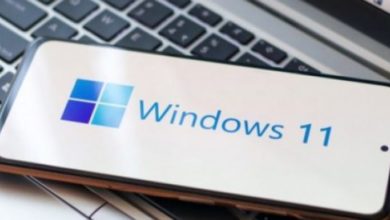 Photo of Windows 11 që funksionon në telefonin Google Pixel 6 në Android 13
