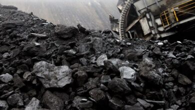 Photo of Polonia do të ndalojë importet e thëngjillit nga Rusia