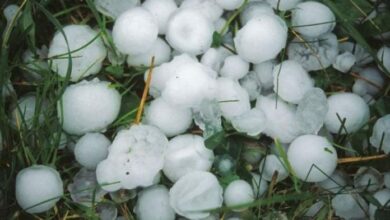Photo of Stuhi në Slloveni, trashësia e breshrit arrin deri në 70 centimetra (VIDEO)