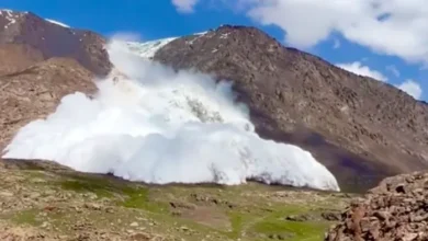Photo of Video e pabesueshme, turisti i shpëton ortekut të dëborës në Kirgistan teksa filmonte
