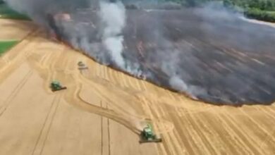 Photo of Ukraina rrit parashikimin e korrjes së drithërave në 65 milionë tonë