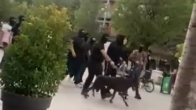 Photo of Si në filma, 10 persona të maskuar e me qen parakaluan në sheshet e Prishtinës, shoqërohen në Polici