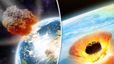 Photo of Tre asteroidë po lëvizin drejt Tokës këtë javë, a duhet të shqetësohemi?