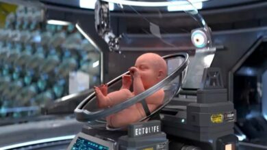 Photo of Shkenca prezanton ‘mitrën e parë artificiale’ që lejon prindërit të zgjedhin tiparet e bebes! Çfarë duhet të dini