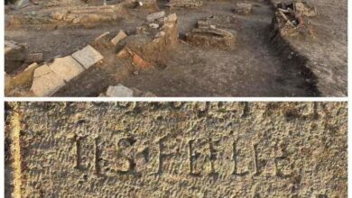 Photo of Asani: Prokuroria të ndërmarrë masa, është shkelur ligji për trashëgimi kulturore