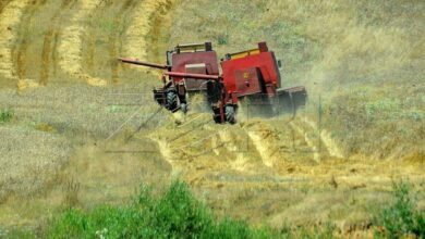 Photo of OKB-ja dhe Ukraina bëjnë thirrje për zgjatjen e marrëveshjes së grurit me Rusinë