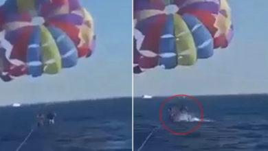Photo of Video shokuese e turistit me parashutë që sulmohet nga peshkaqeni mbi ujë në rezortin e Detit të Kuq (fotot)
