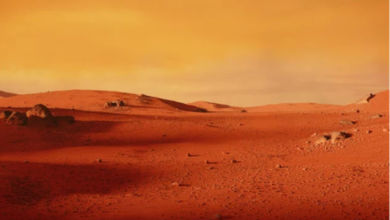 Photo of NASA tregon si do të duket jeta në një shtëpi në Mars