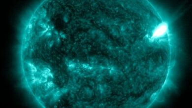 Photo of NASA sjell FOTOT e një shpërthimi të madh në Diell