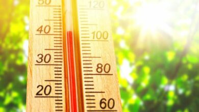 Photo of Javën e ardhshme – temperatura deri në 40 gradë Celsius