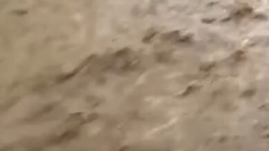 Photo of Vërshohen rrugë dhe shtëpi në Neproshten dhe Tearc , edhe në Tetovë devijohet trafiku