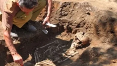 Photo of Zbulohet në nekropol ‘fëmija vampir’ i shekullit 17: Ishte i mbyllur me dry