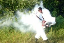 Photo of Nesër në Shkup do të kryhet dezinsektim ajror
