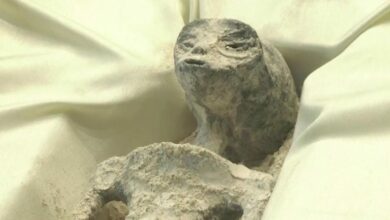 Photo of Gazetari mahnit parlamentin me trupat e dy alienëve