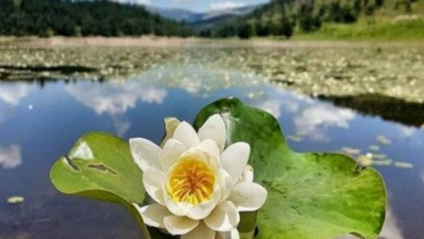 Photo of 7 liqenet e Lurës, një bukuri e fshehur në Shqipëri