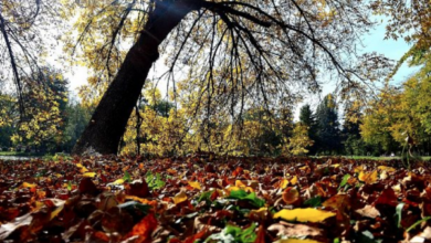 Photo of Ja si do të jetë moti sot