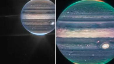 Photo of NASA zbulon një veçori të re në atmosferën e Jupiterit