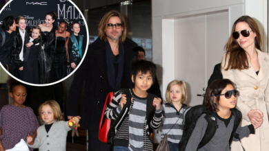 Photo of Brad Pitt dhe Angelina Jolie janë afër fundit të betejës së ashpër për divorcin – aktori heq dorë nga kujdestaria e përbashkët e fëmijëve