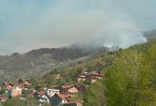 Photo of Për një muaj janë djegur mbi 400 hektarë sipërfaqe pyjore në Malin Sharr