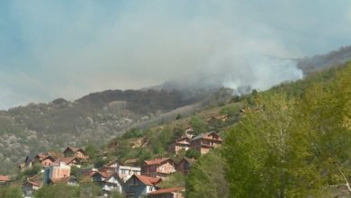 Photo of Për një muaj janë djegur mbi 400 hektarë sipërfaqe pyjore në Malin Sharr