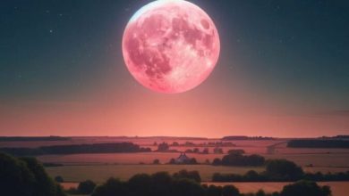 Photo of Sot Hëna “rozë” e 23 prillit
