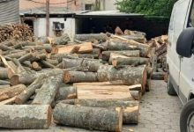 Photo of “Mbrojta e pyjeve”, ndalohen 10 automjete në Ferizaj – transportonin drunj pa dokumentacion