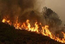 Photo of Zjarret në Parkun Kombëtar “Sharr”, për një muaj digjen mbi 400 hektarë