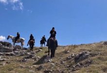 Photo of Me kuaj në malin e thatë të Dërvenit, destinacioni që po mahnit turistët