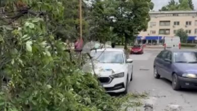 Photo of Shkup, druri bie mbi veturën që po lëvizte