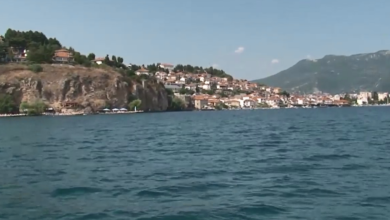 Photo of Nëse degradimi i liqenit të Ohrit vazhdon, speciet endemike do të zhduken
