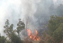 Photo of Rritet numri i zjarreve në rajonin e Pollogut
