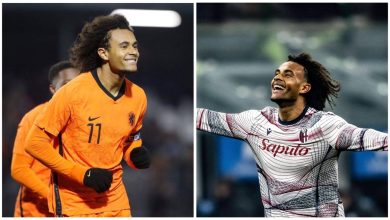 Photo of Edhe Zirkzee në Euro 2024, buzëqesh “ylli” i Bolognës