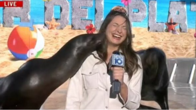 Photo of VIDEO/ Luanët e detit e puthin vazhdimisht, gazetarja nuk raporton dot