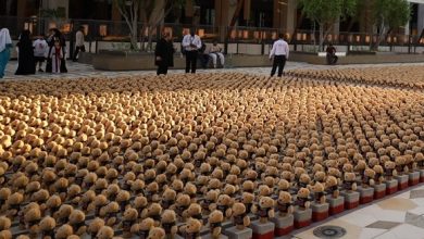Photo of VIDEO| Artisti përdor 15,000 arusha në përkujtim të fëmijëve të vrarë në Gaza