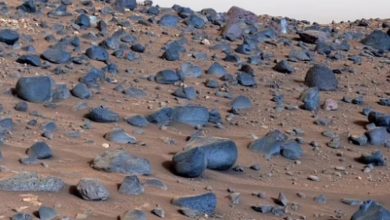 Photo of VIDEO/ NASA publikon për herë të parë pamje me rezolucion të lartë nga Marsi