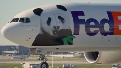 Photo of SHBA, dy panda gjigante udhëtojnë nga Pekini në Uashington, do të qëndrojnë të huazuara për 10 vjet