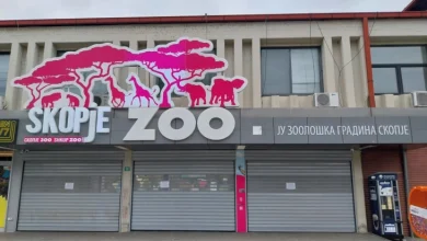 Photo of Ujqërit dalin nga kafazet në Kopshtin Zoologjik të Shkupit, mbytin katër kengurë dhe shpendë